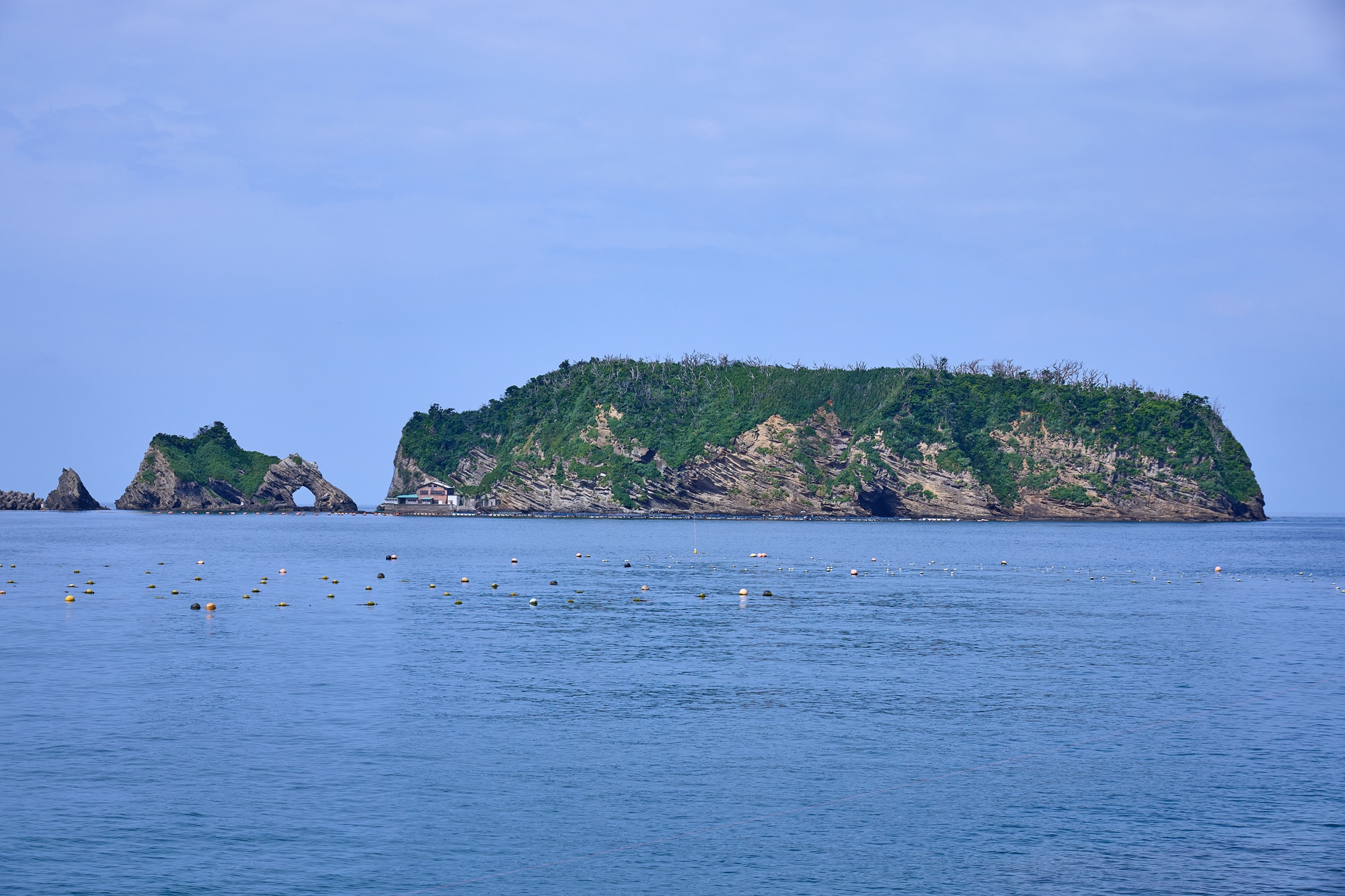 浮島の画像