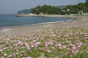 大六海水浴場