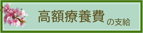 高額療養費の支給のページへ