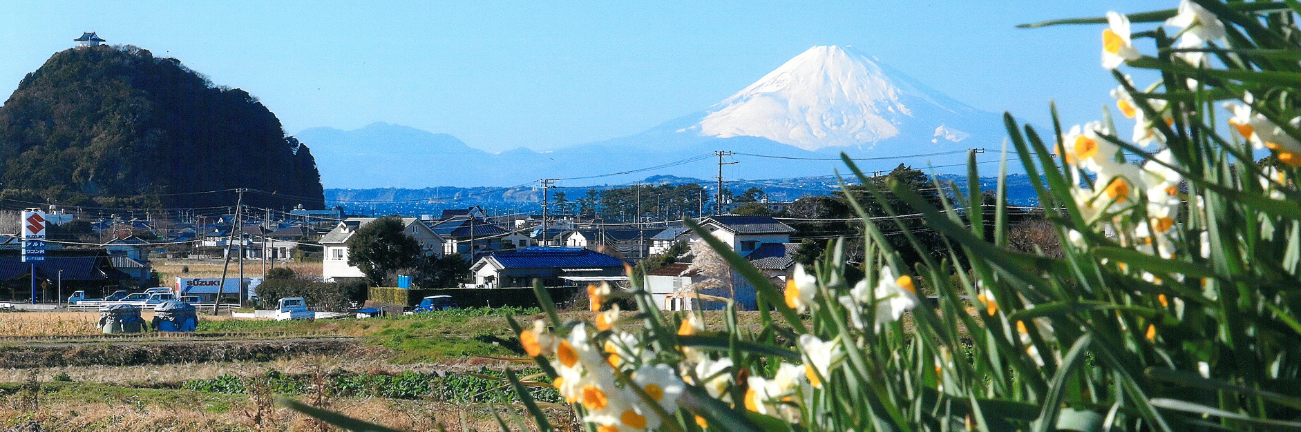 富士山と大黒山と水仙